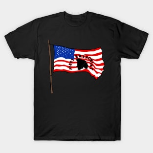 American Flag First Amendment T-Shirt